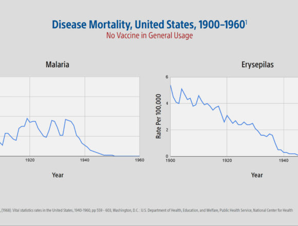 Malaria-and-Erysepilas-Charts